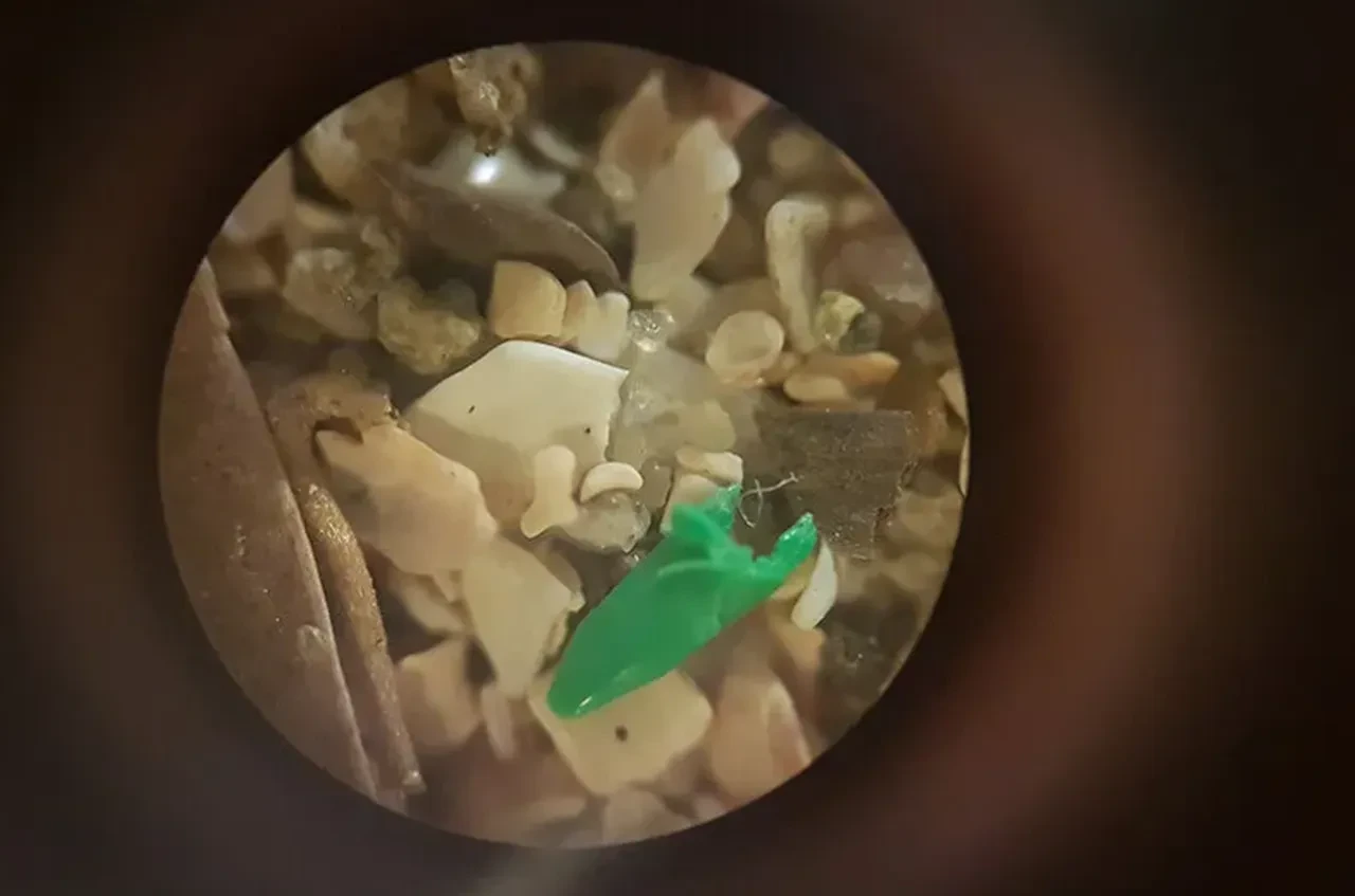 Masmavi sularda mikroplastik alarmı! Samed Ağırbaş riskli bölgeleri tek tek açıkladı!