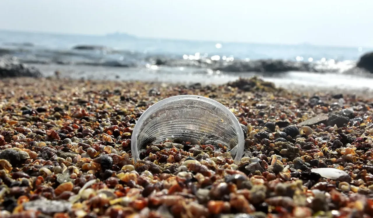 Masmavi sularda mikroplastik alarmı! Samed Ağırbaş riskli bölgeleri tek tek açıkladı!