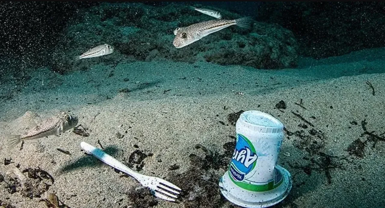 Masmavi sularda mikroplastik alarmı! Samed Ağırbaş riskli bölgeleri tek tek açıkladı!