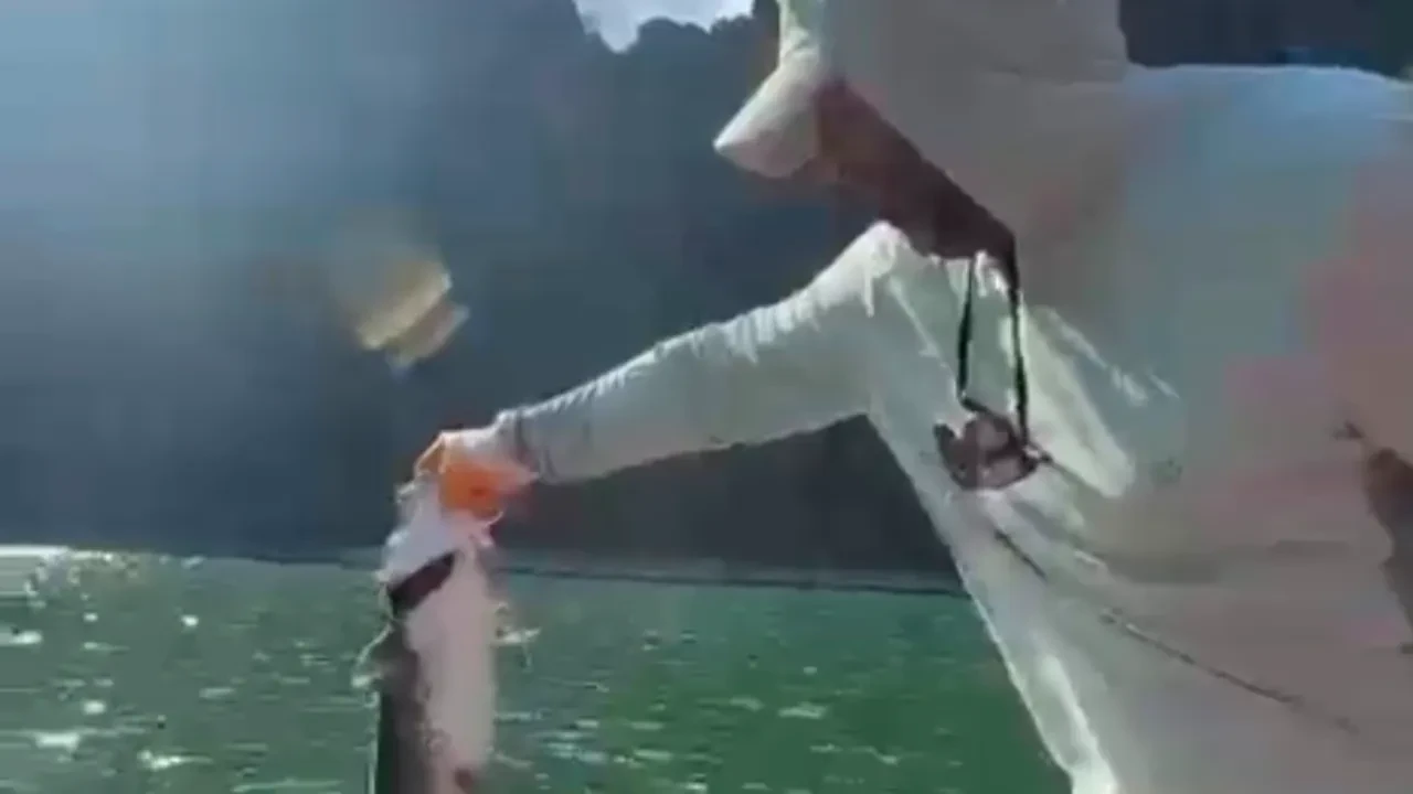 Yakaladığı balığı kıyamayıp geri bıraktı! O anlar kamerada