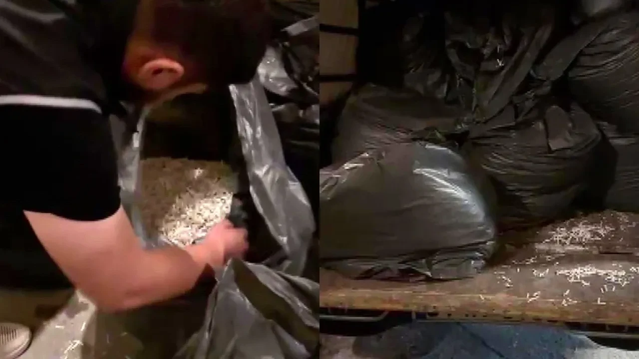 Alihan Kuriş örgütüne Ümraniye'de şok baskın! Gizli evrakları imha edemeden yakalandılar