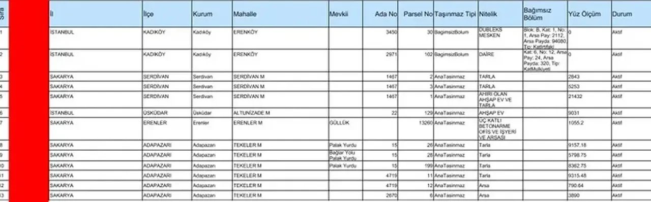 Alihan Kuriş ve ailesinin devasa mal varlığı ortaya çıktı! Tek isimde 138 taşınmaz 