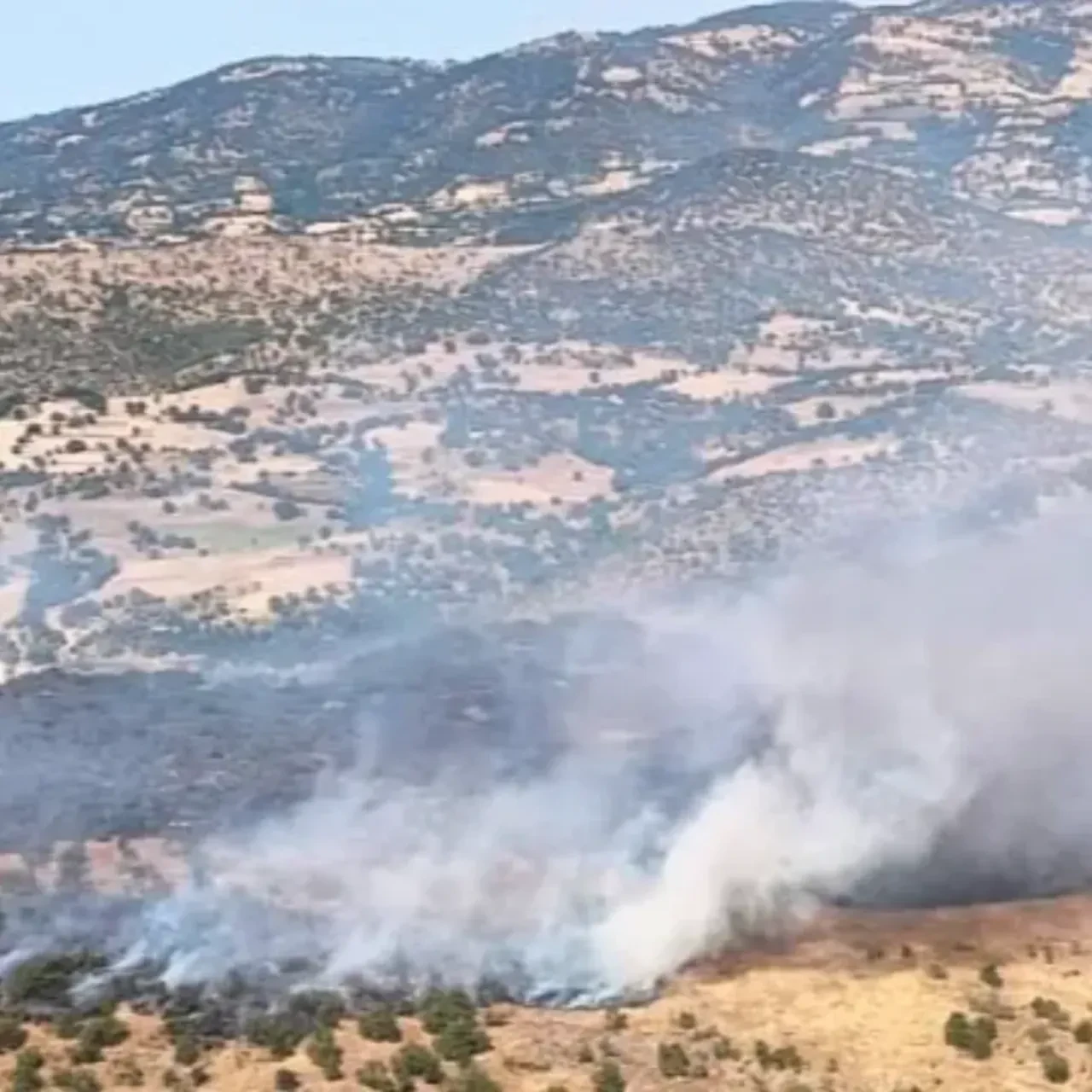 Balıkesir Sındırgı’da orman yangını! Ekipler havadan ve karadan müdahale ediyor