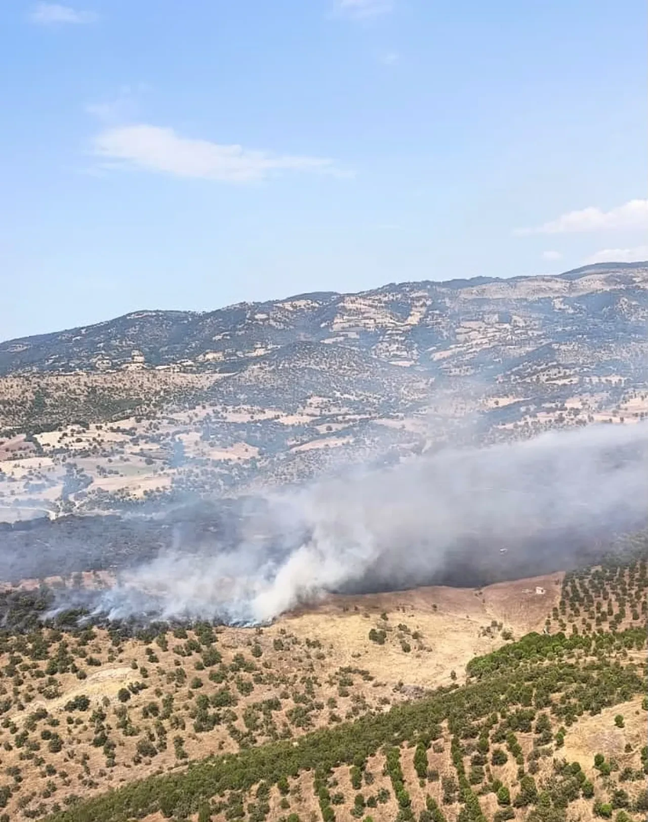 Balıkesir Sındırgı’da orman yangını