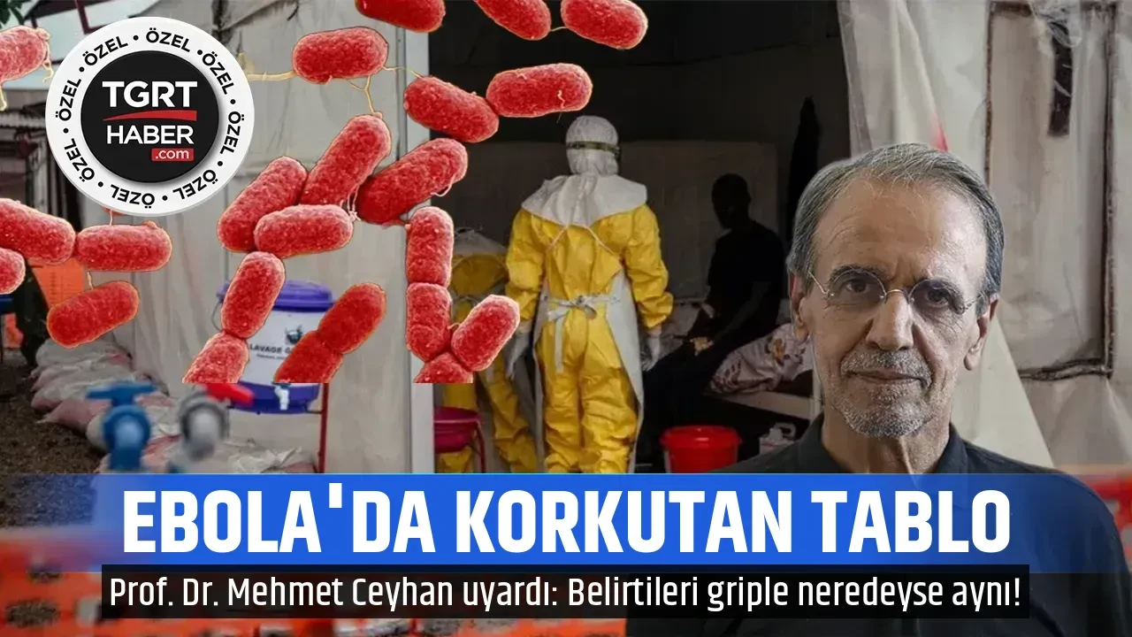 EBOLA'DA KORKUTAN TABLO