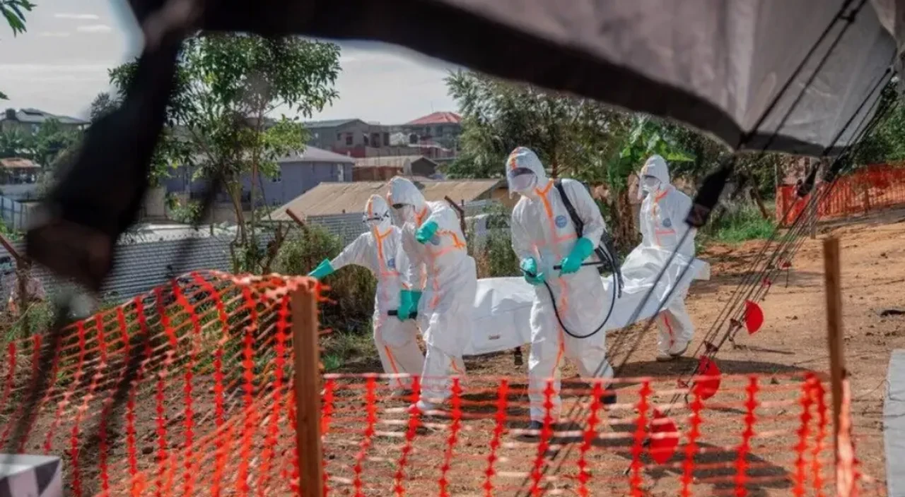 Ebola virüsünde korkutan tablo! Mehmet Ceyhan uyardı: Belirtileri griple neredeyse aynı!