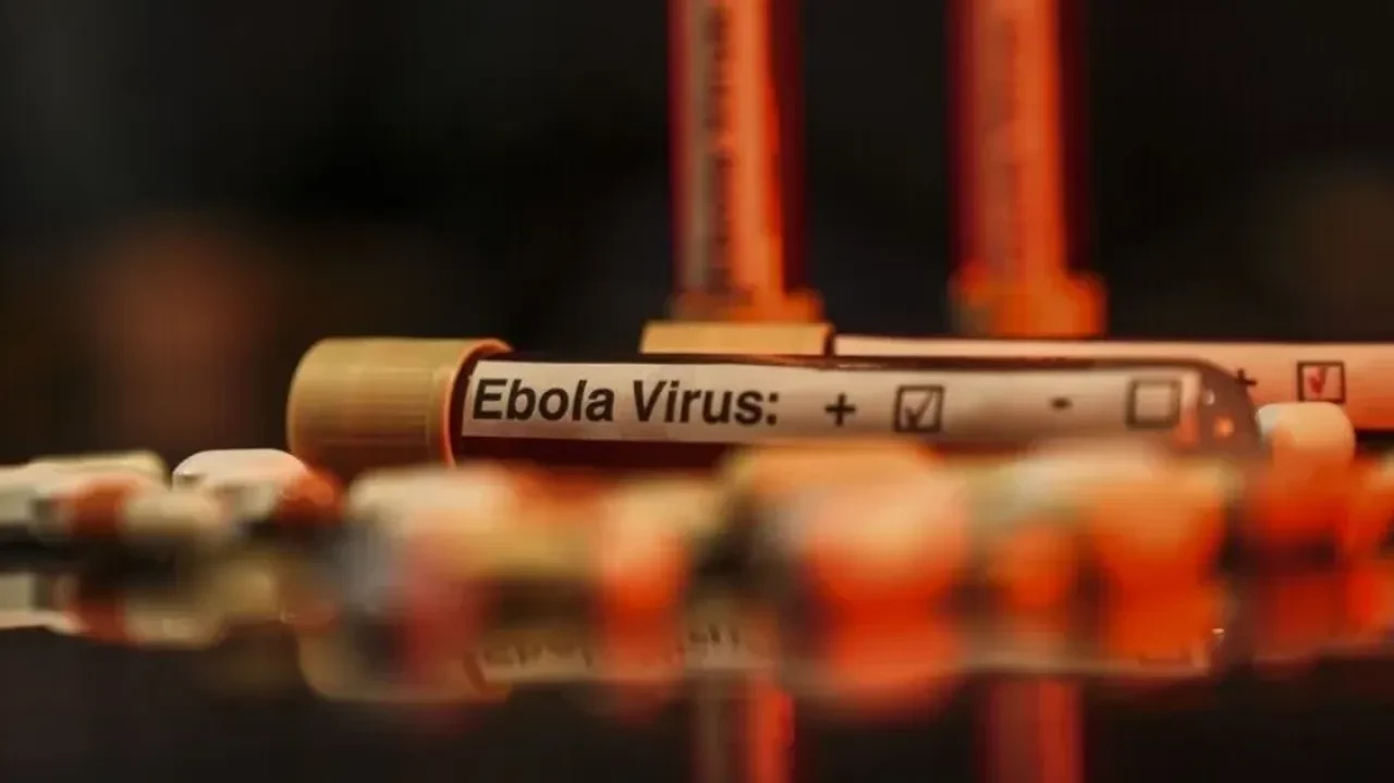 Ebola virüsünde korkutan tablo! Mehmet Ceyhan uyardı: Belirtileri griple neredeyse aynı!