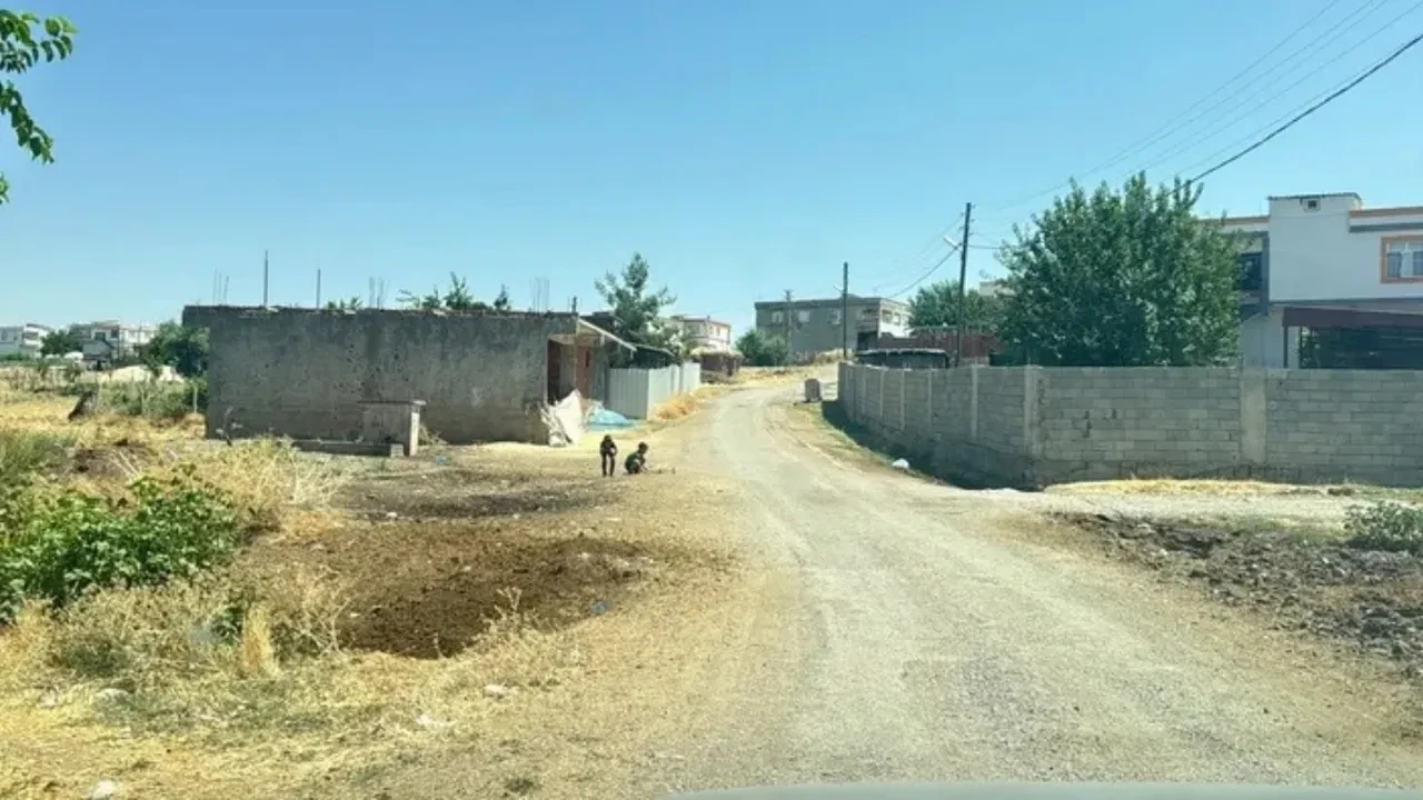 Kedi ısırığı kuduz yapar mı? Kedi ısırığından yoğun bakıma alınan çocuk!