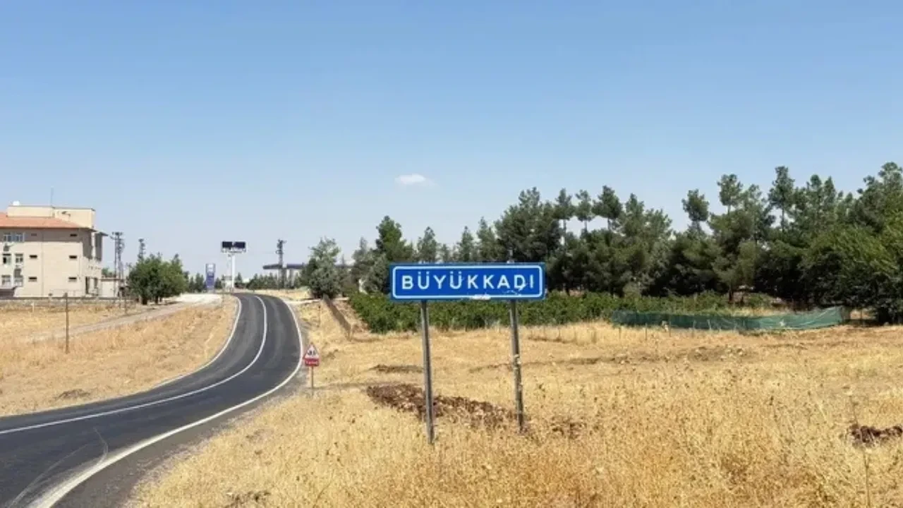 Kedi ısırığı kuduz yapar mı? Kedi ısırığından yoğun bakıma alınan çocuk!