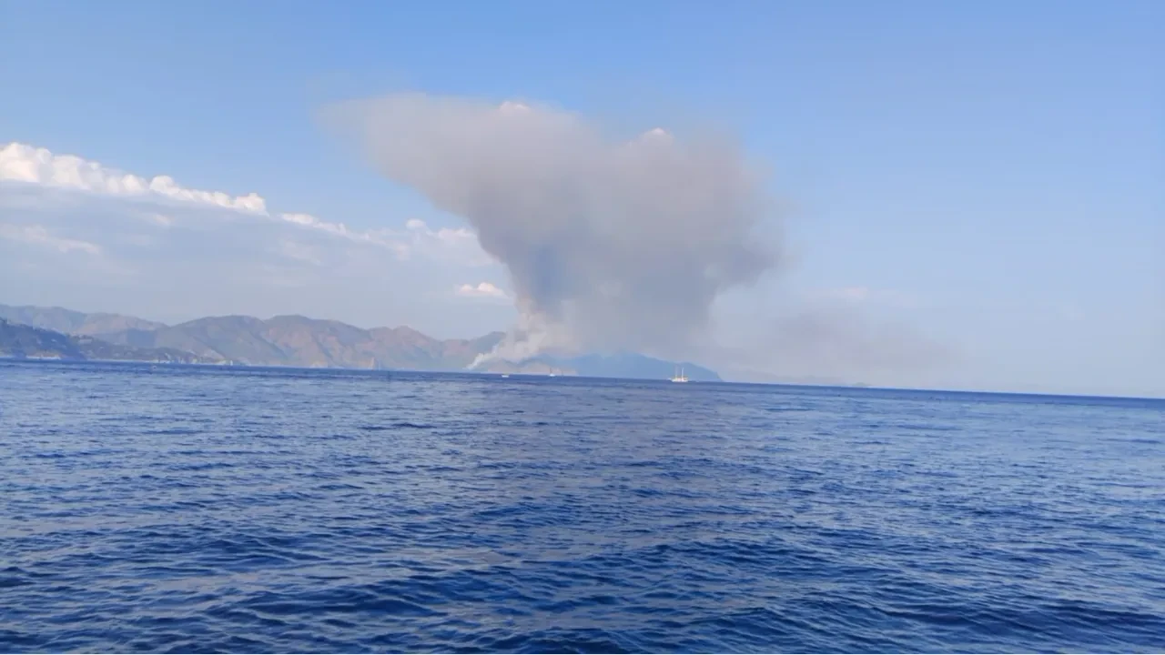 Marmaris'in kara ulaşımının zor olduğu koyda orman yangını 