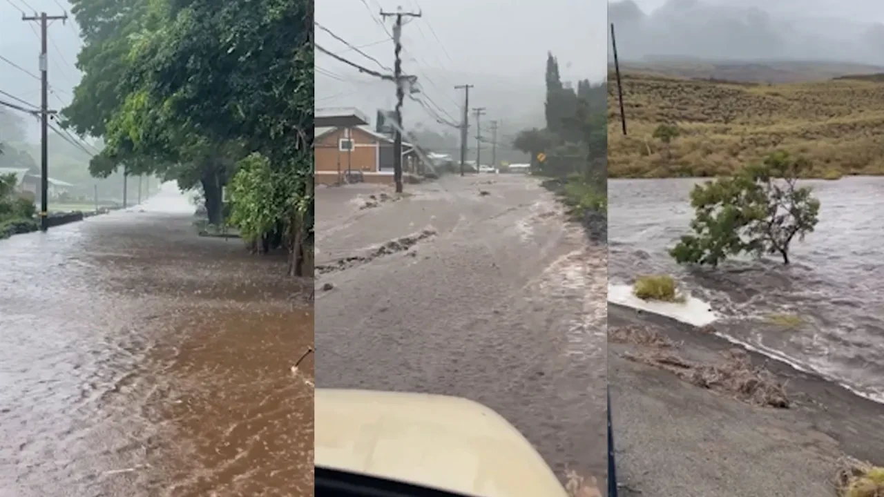 Lala Kasırgası Hawaii'de yüz bine yakın insanı elektriksiz bıraktı