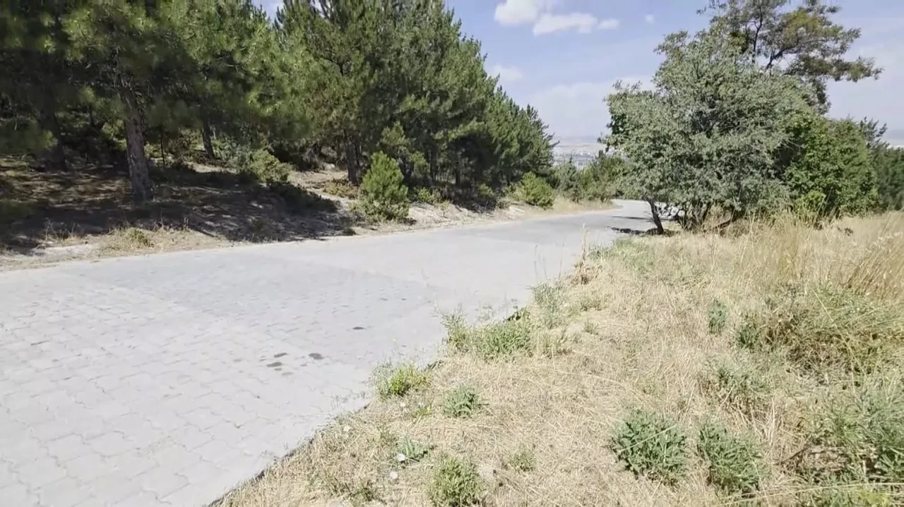 Mahalle sakinleri canından bezdi, huzur kalmadı! Çocuklar sokağa çıkamıyor