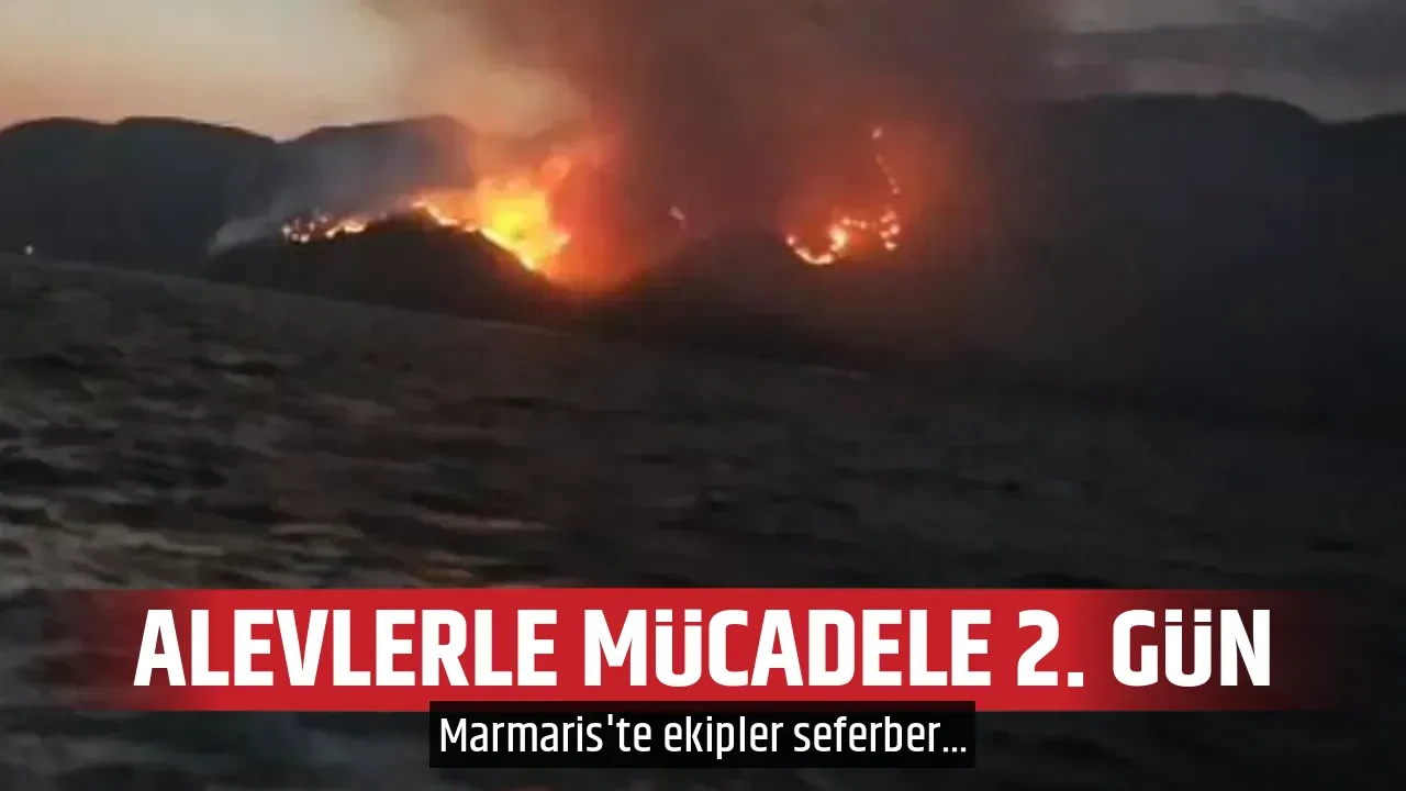 ALEVLERLE MÜCADELE 2. GÜN
