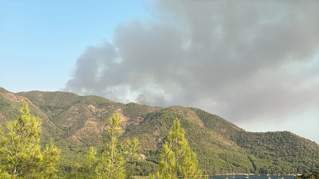 Marmaris'te orman yangını! Alevlerle mücadele 2. gün