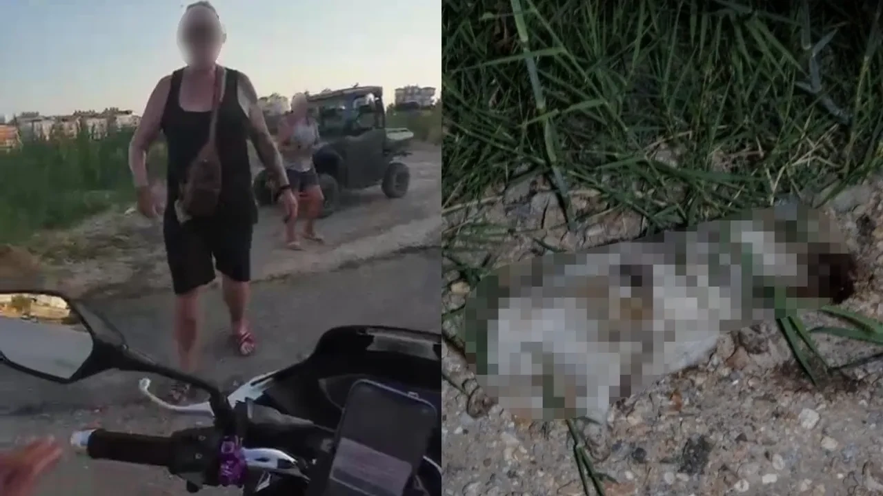 Antalya’da vahşet anları: Alman turist, çarptığı köpeğin başını taşla ezerek öldürdü