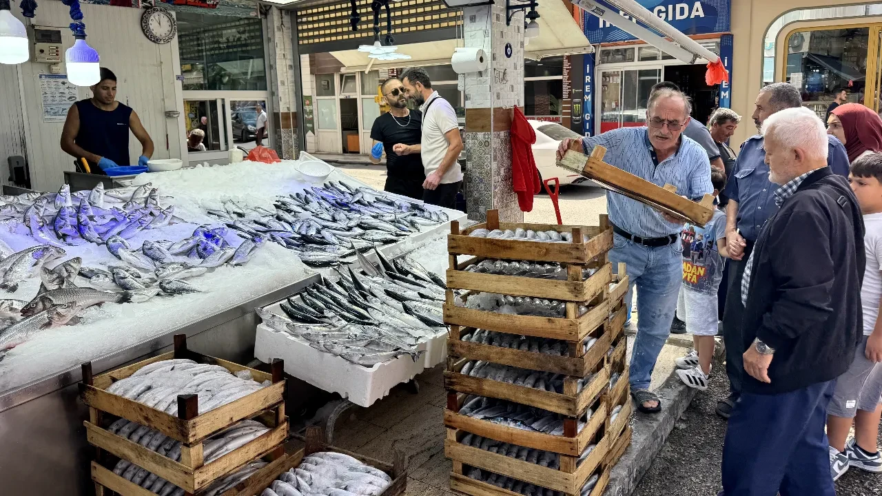Karadeniz'de  palamut bolluğu! İşte tezgahtaki son fiyatlar 