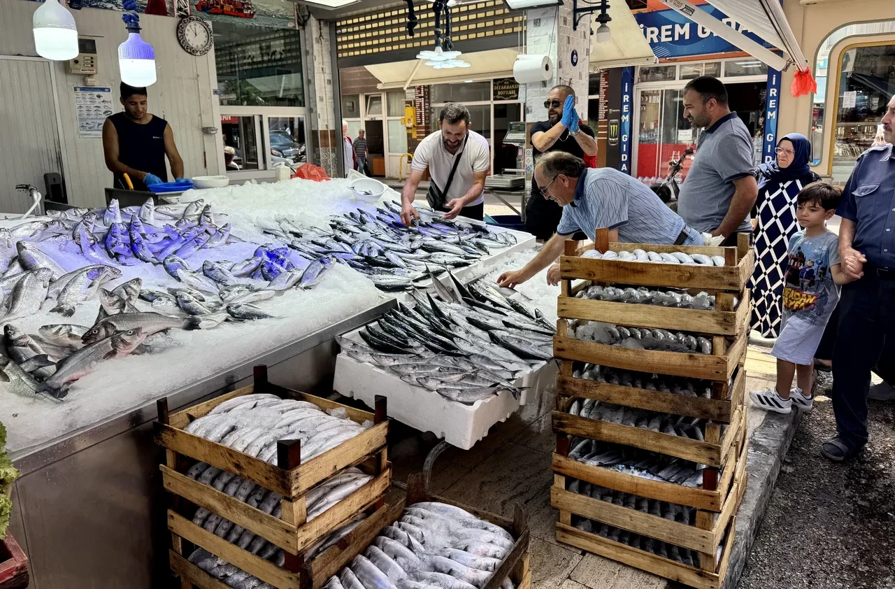 Karadeniz'de  palamut bolluğu! İşte tezgahtaki son fiyatlar 