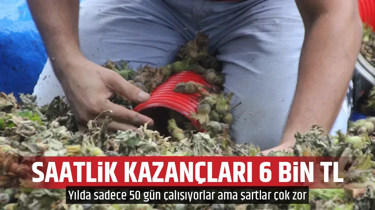 SAATLİK KAZANÇLARI 6 BİN TL