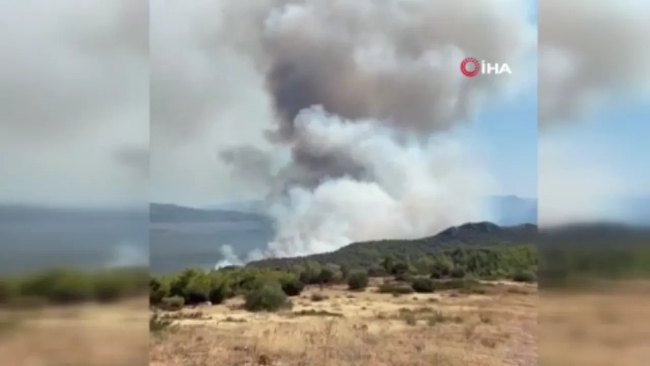 Yunanistan'daki orman yangını felaketinde 2 can kaybı: Yaşlı çift kurtarılamadı