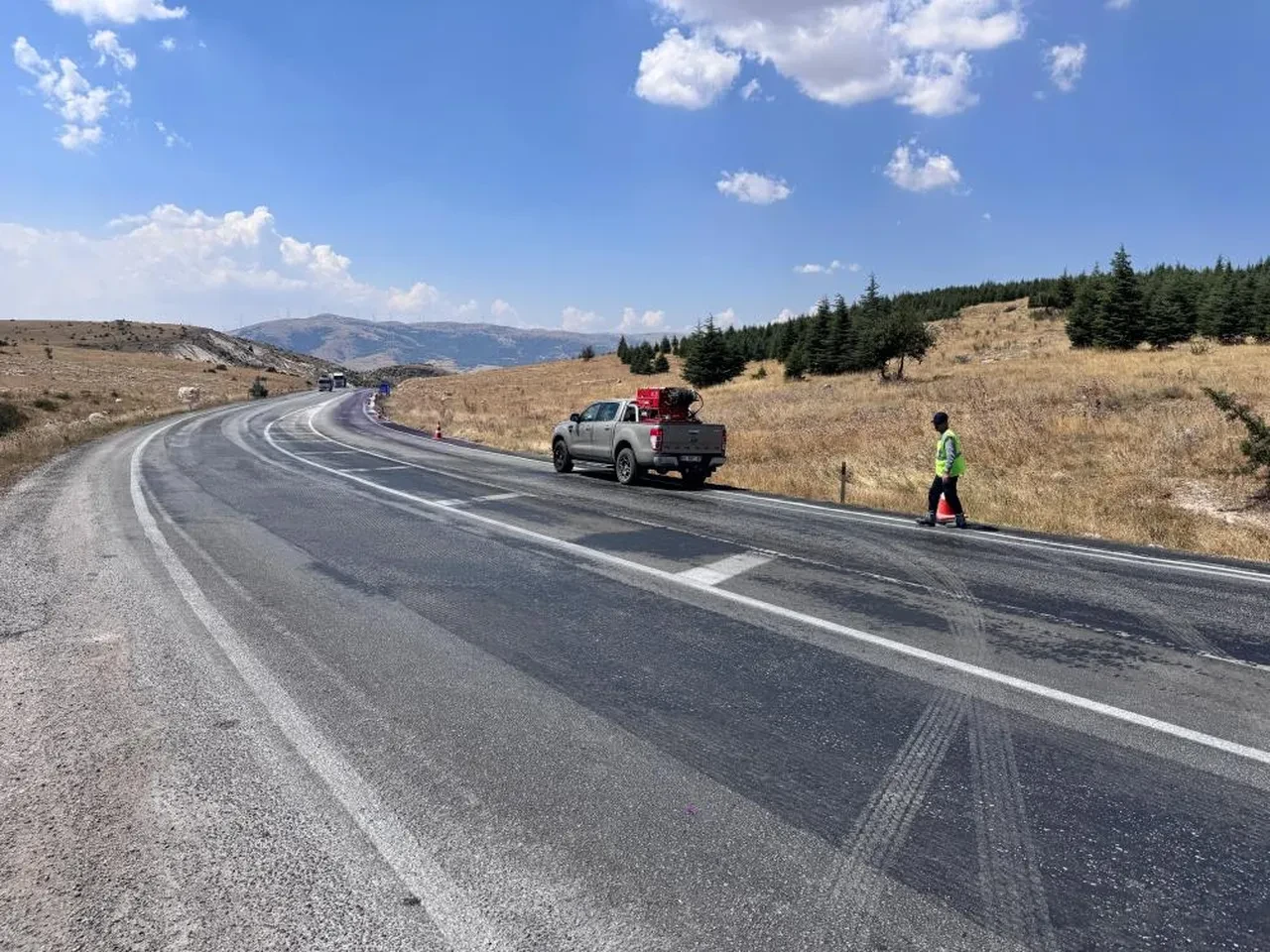 Bütün araçlar mor renkle kaplanmıştı! Soruşturma başlatıldı, gerçek ortaya çıktı