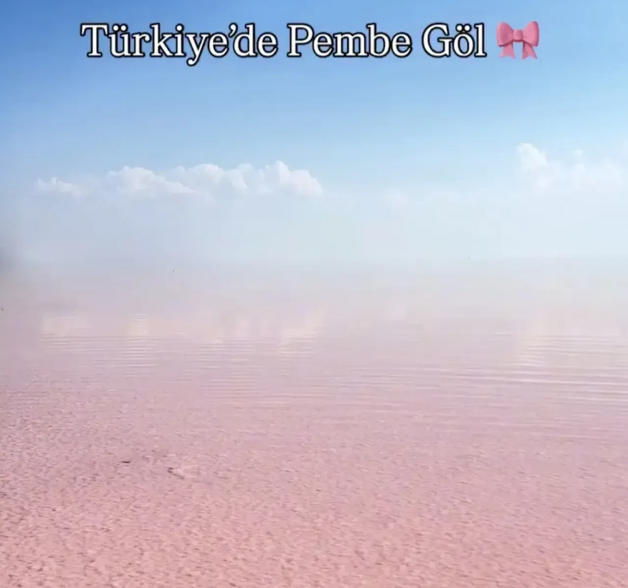 Ankara pembe göl nerede? Türkiye'deki Barbie gölü neden pembe?