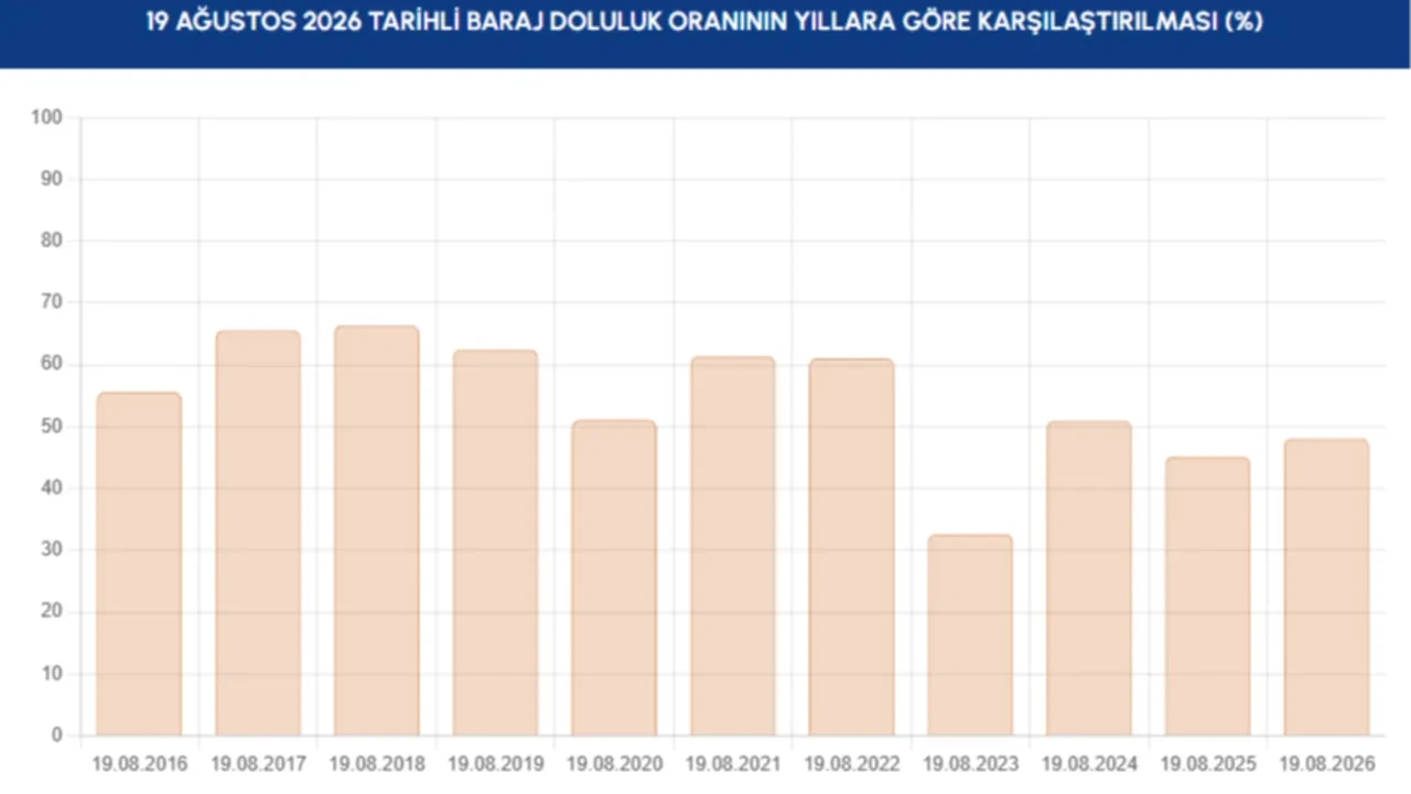 İstanbul Barajlarında kuraklık alarmı! Boşalan havzalarda hayvanlar otluyor: Doluluk oranları kritik seviyeye geriledi