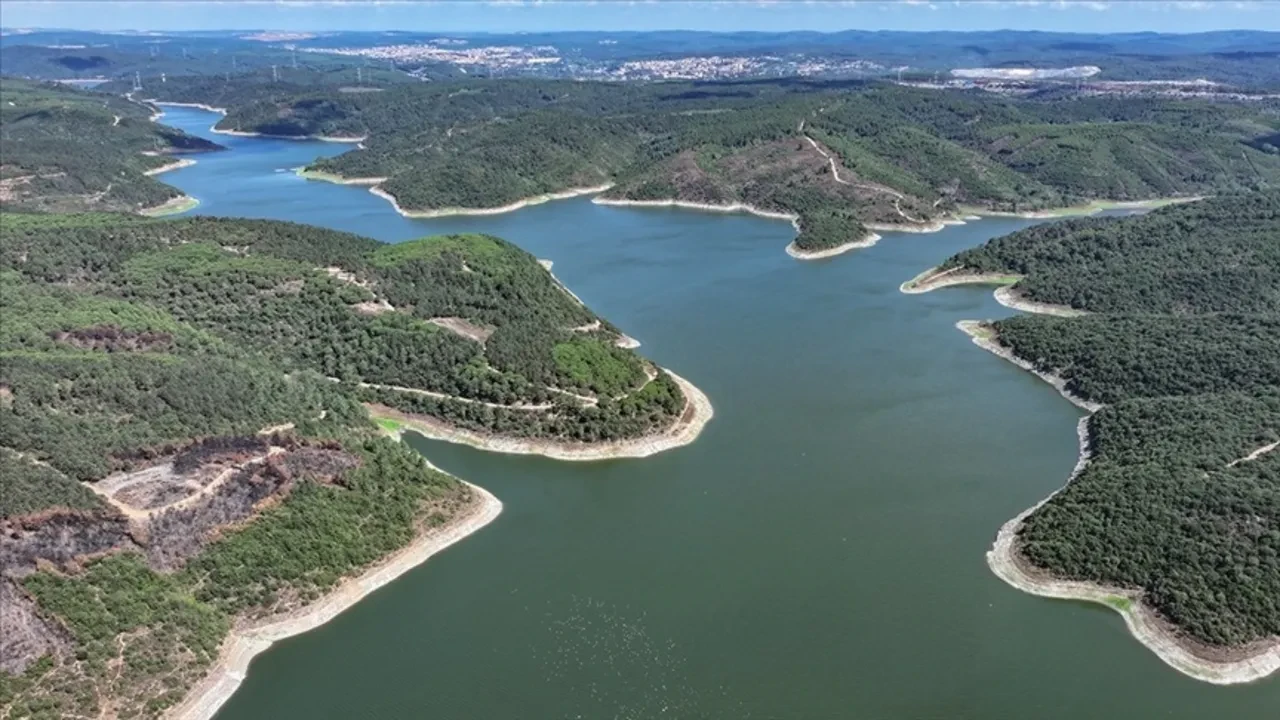 İstanbul Barajlarında kuraklık alarmı! Boşalan havzalarda hayvanlar otluyor: Doluluk oranları kritik seviyeye geriledi