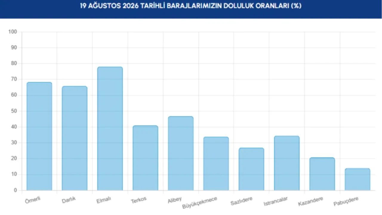 İstanbul Barajlarında kuraklık alarmı! Boşalan havzalarda hayvanlar otluyor: Doluluk oranları kritik seviyeye geriledi