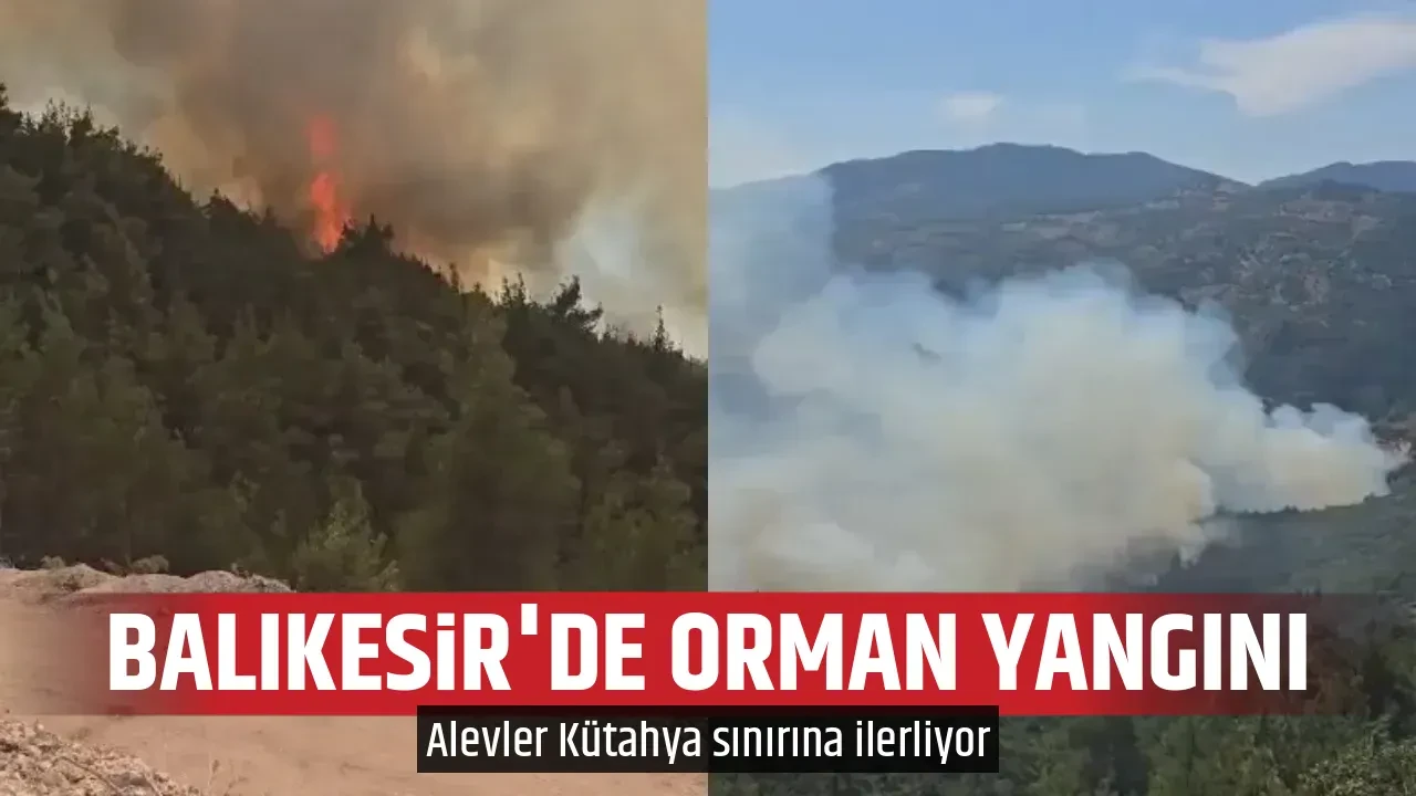 BALIKESİR'DE ORMAN YANGINI