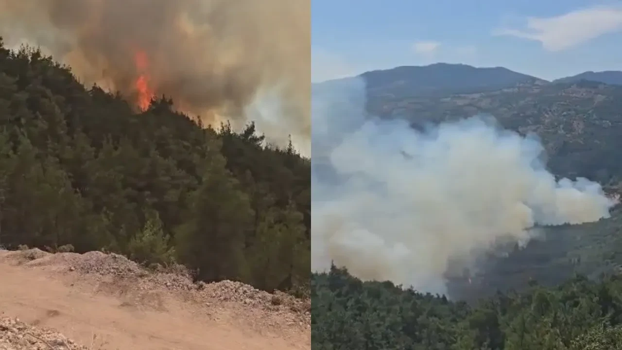 Sındırgı’da orman yangını! Tankerden sıçrayan alevler kısa sürede büyüdü