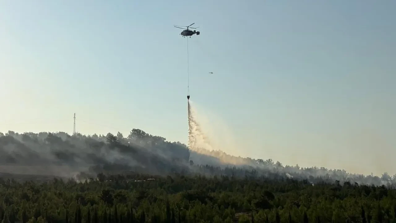 Çanakkale Bayramiç'te yangın çıktı