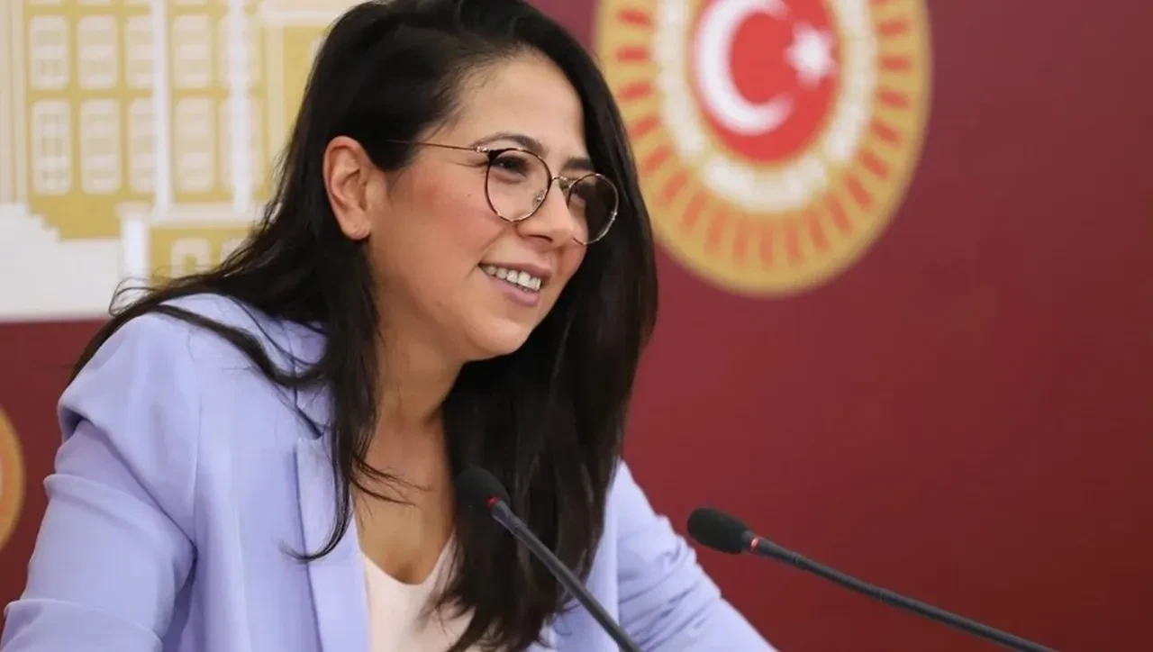 TİP Milletvekili Sera Kadıgil'in Cumhurbaşkanı Erdoğan'a yönelik sözlerine soruşturma
