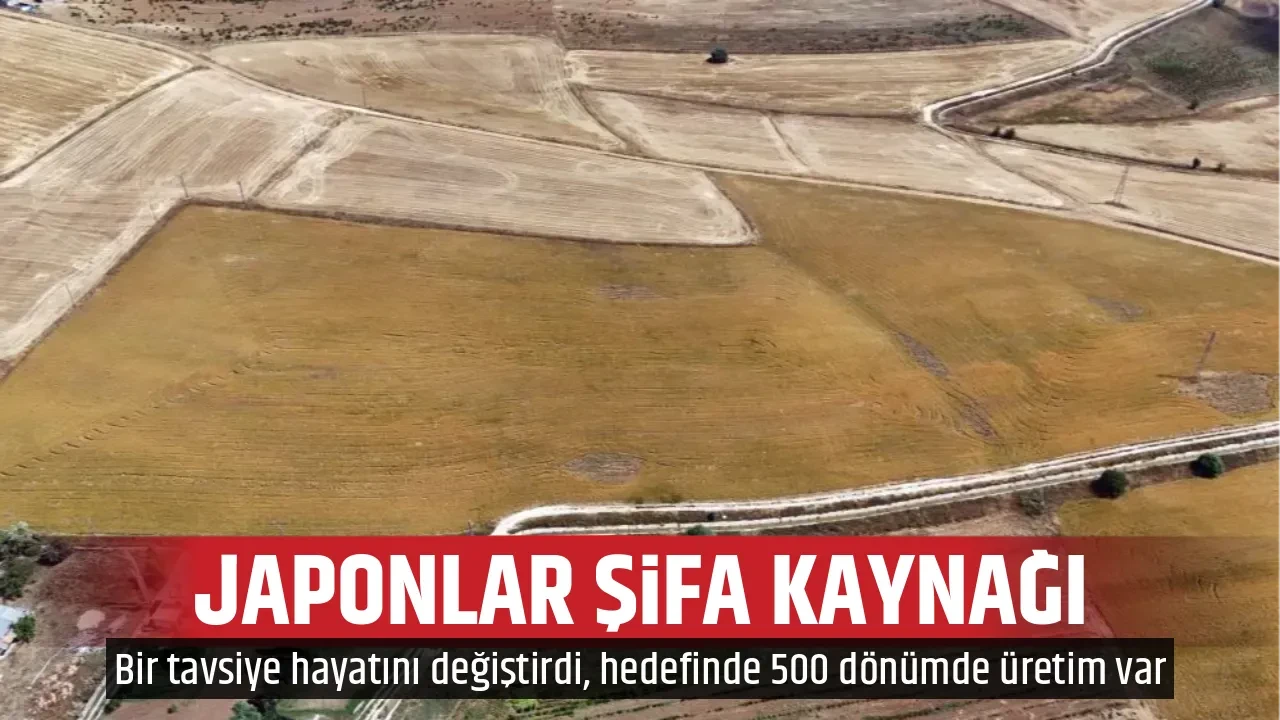 JAPONLAR ŞİFA KAYNAĞI