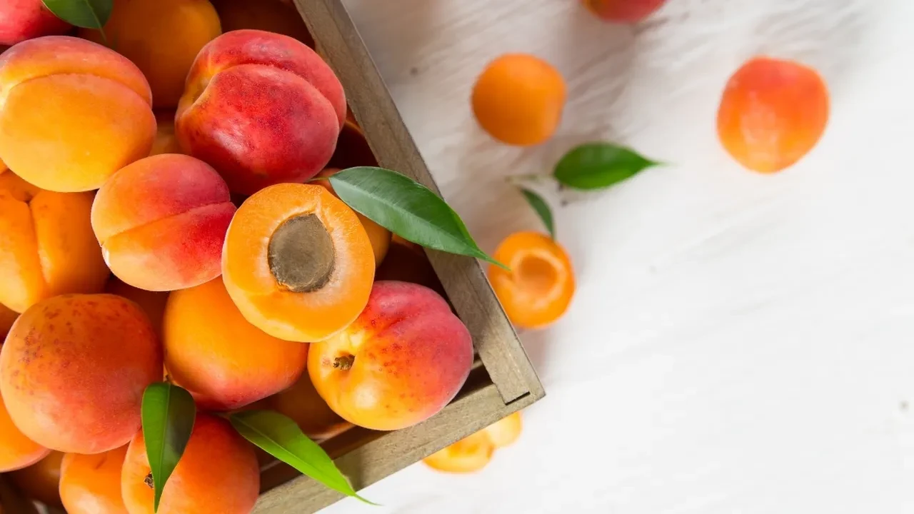 Kayısı konusunda yıllardır yanlış biliyormuşuz! Diyet yapanlar bunu bilmeli