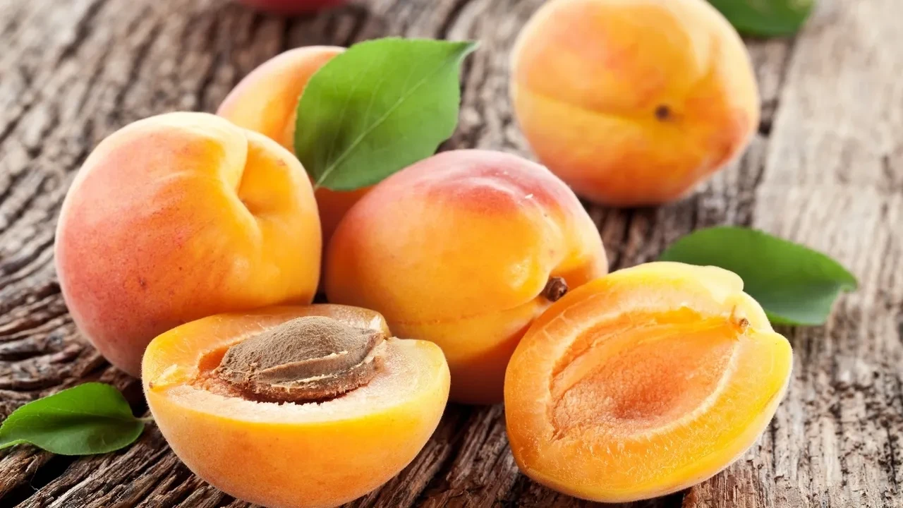 Kayısı konusunda yıllardır yanlış biliyormuşuz! Diyet yapanlar bunu bilmeli
