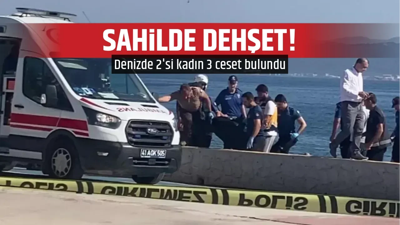 SAHİLDE DEHŞET!