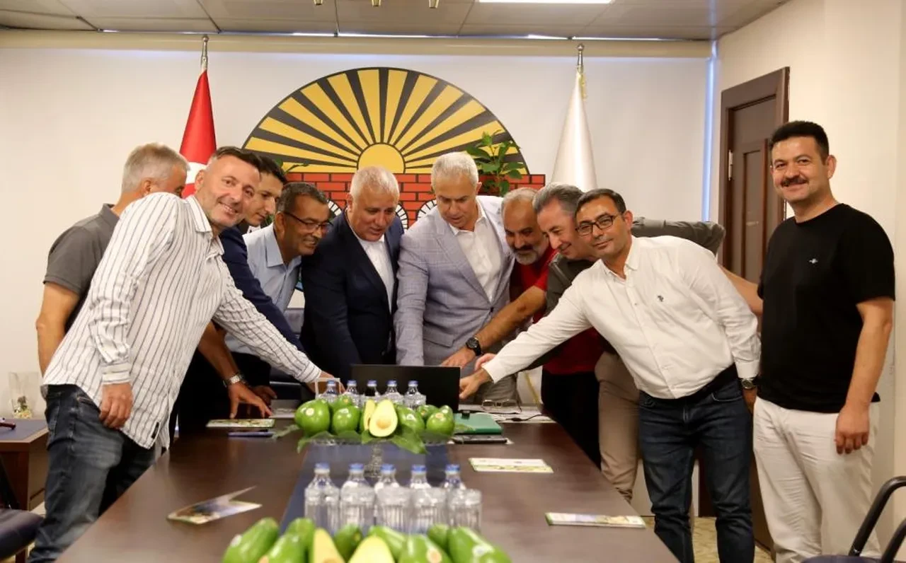 Alanya avokadosunu tüm dünya tanıyacak! Avrupa Birliği coğrafi işaret başvurusu yapıldı
