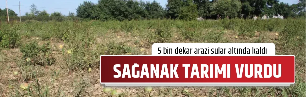 SAĞANAK TARIMI VURDU