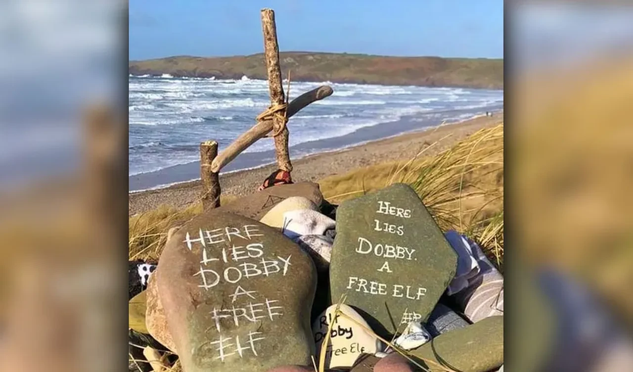 Dobby'nin 'mezarı' kurtuldu bu kez Bronz Çağı tehlikede: Harry Potter hayranları projenin rotasını değiştirdi