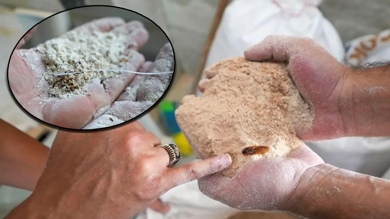 Un fabrikasında mide bulandıran görüntüler! 30 ton böceklenmiş un ele geçirildi