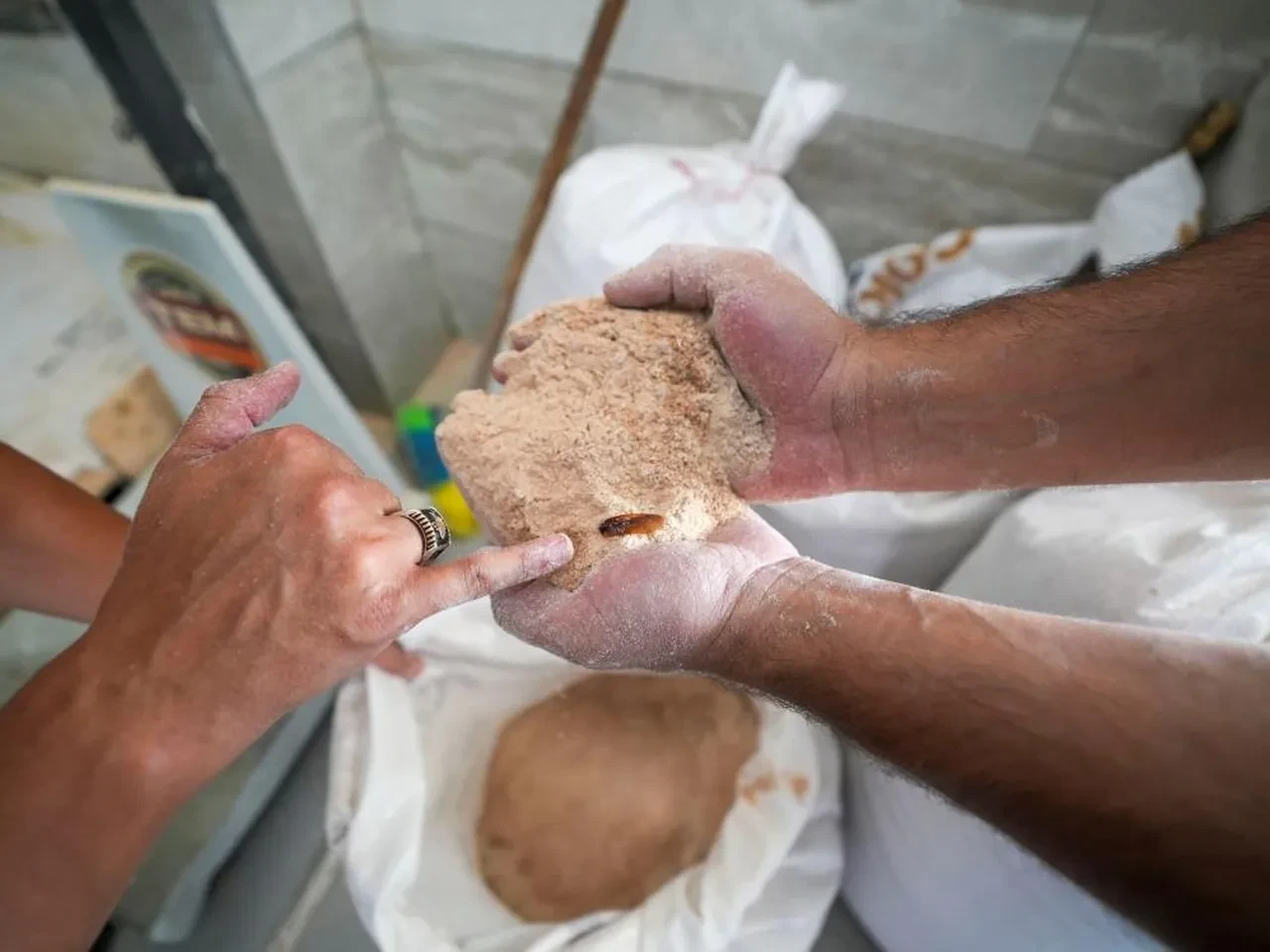 Un fabrikasında mide bulandıran görüntüler! Tonlarca böceklenmiş bozuk un ele geçirildi