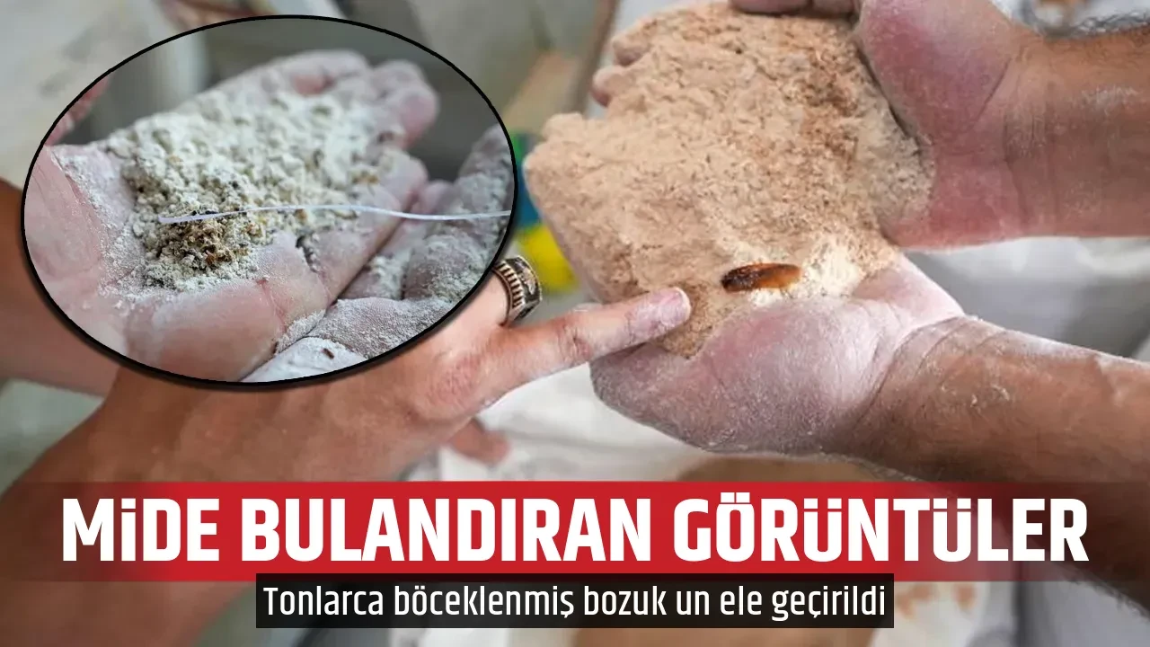 MİDE BULANDIRAN GÖRÜNTÜLER