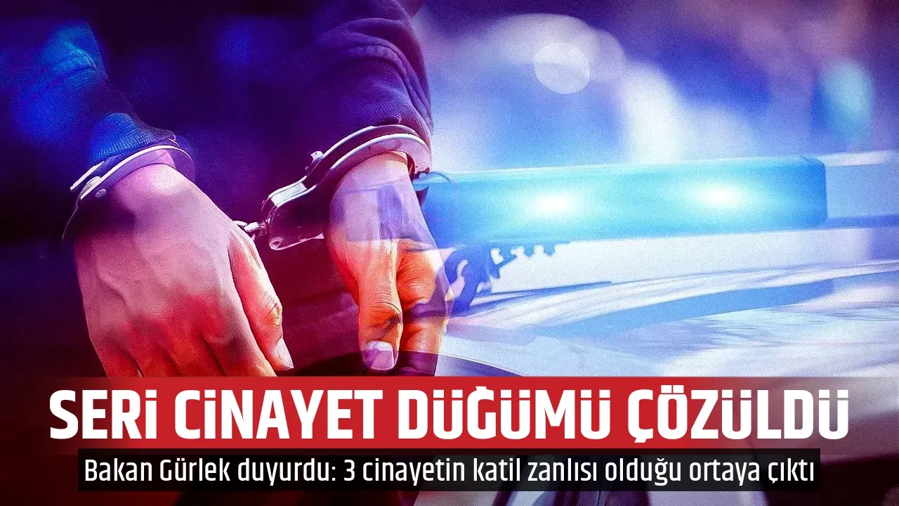 SERİ CİNAYET DÜĞÜMÜ ÇÖZÜLDÜ