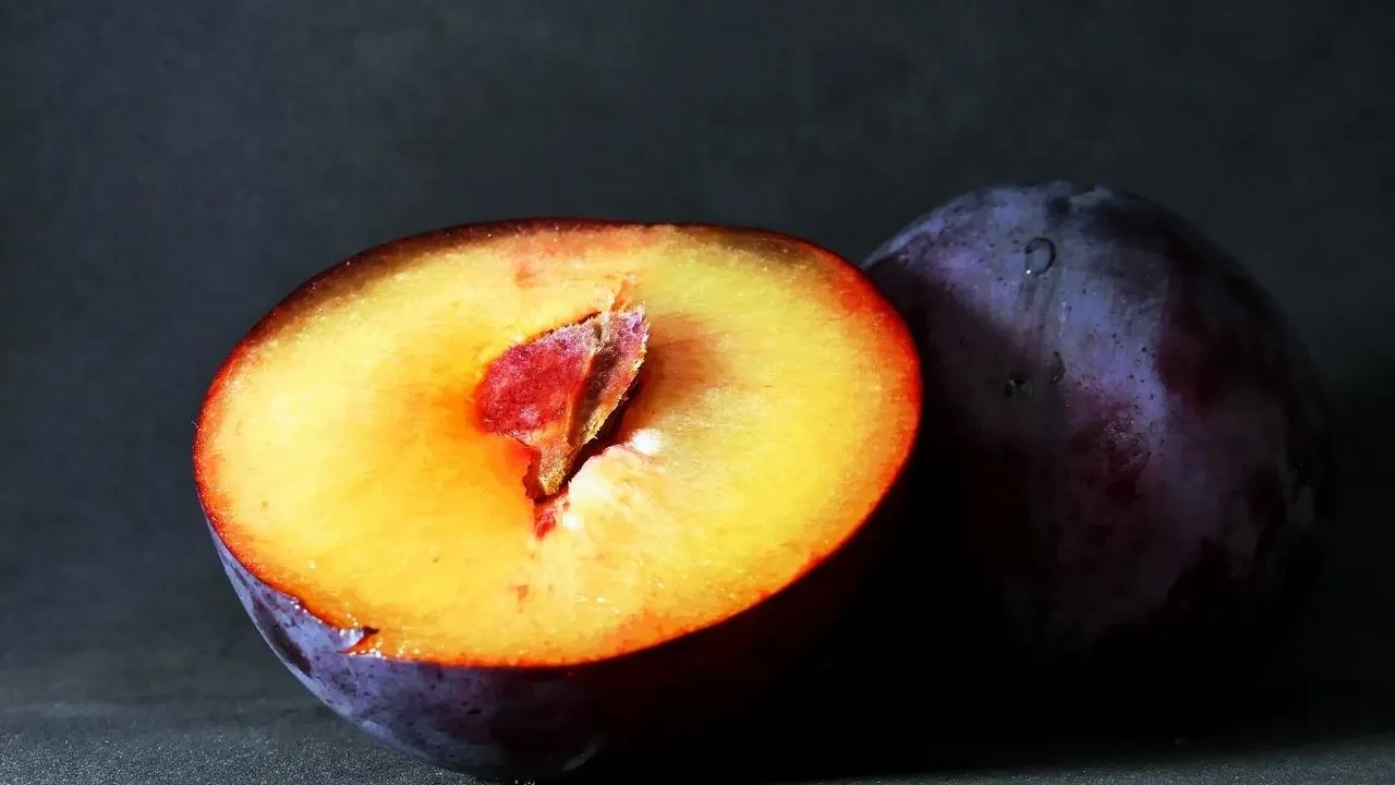 Düzenli olarak bir avuç mürdüm eriği tükettim! Meğer bu kadar değerliymiş