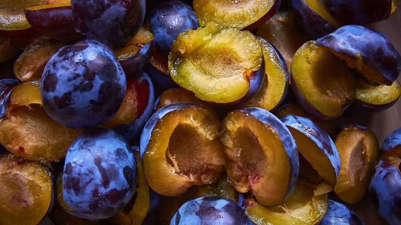 Düzenli olarak bir avuç mürdüm eriği tükettim! Meğer bu kadar değerliymiş