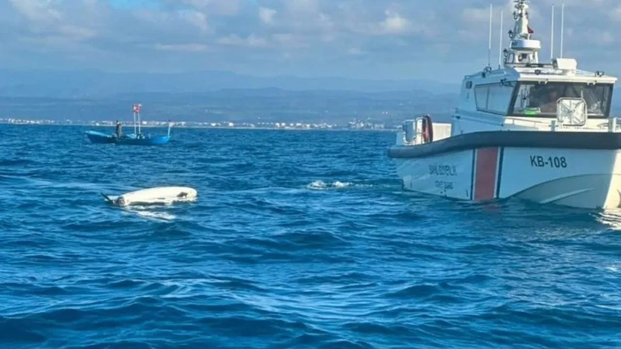 Balık avlamaya gittiler dron yakaladılar