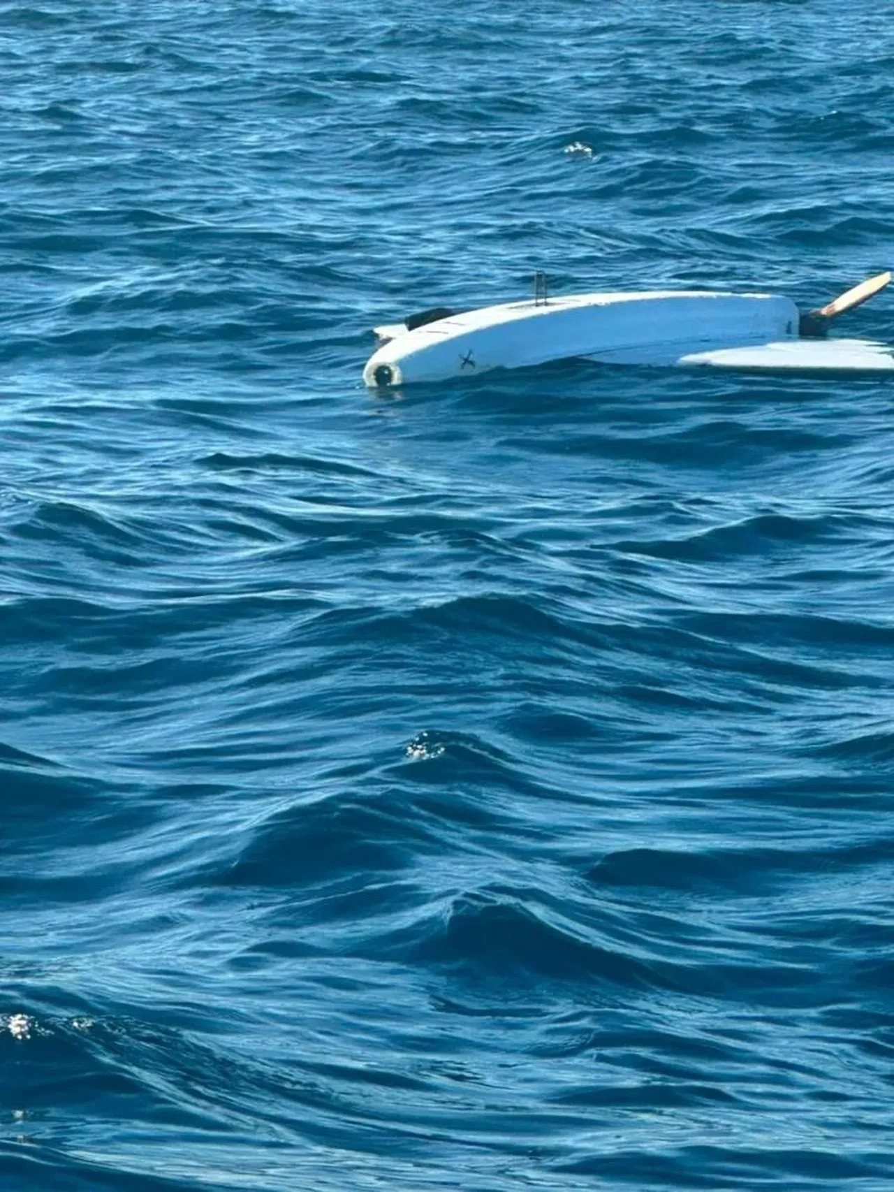 Balık avlamaya gittiler dron yakaladılar