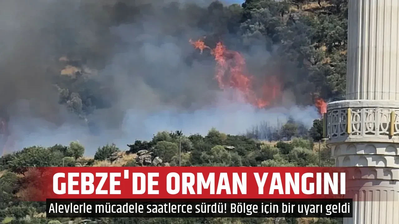 GEBZE'DE ORMAN YANGINI