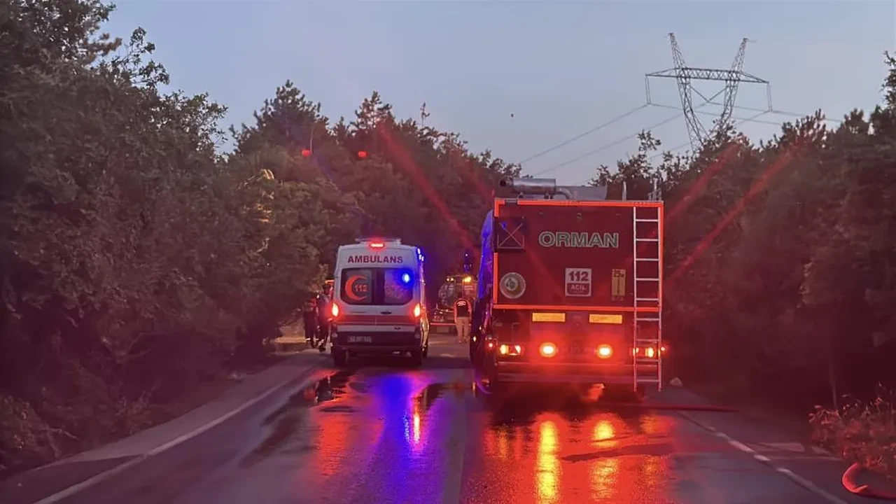 Gebze’de orman yangını