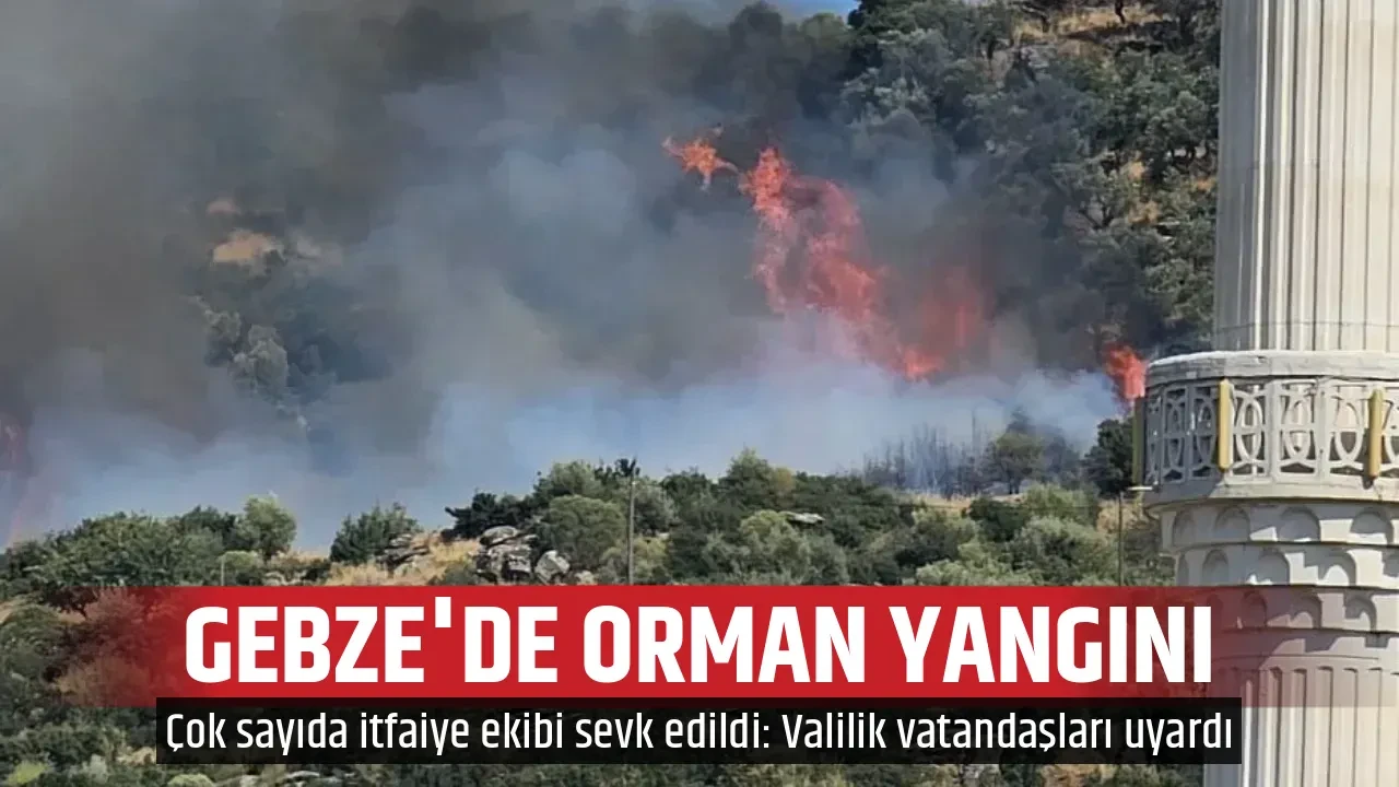 GEBZE'DE ORMAN YANGINI